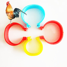 100 Stck Clip Bein Ringe Clic GeflüGel Hühner Stichworte Wachtel Taube Huhn Fuß Ringe für gans geflüGel farbe offenen Ring