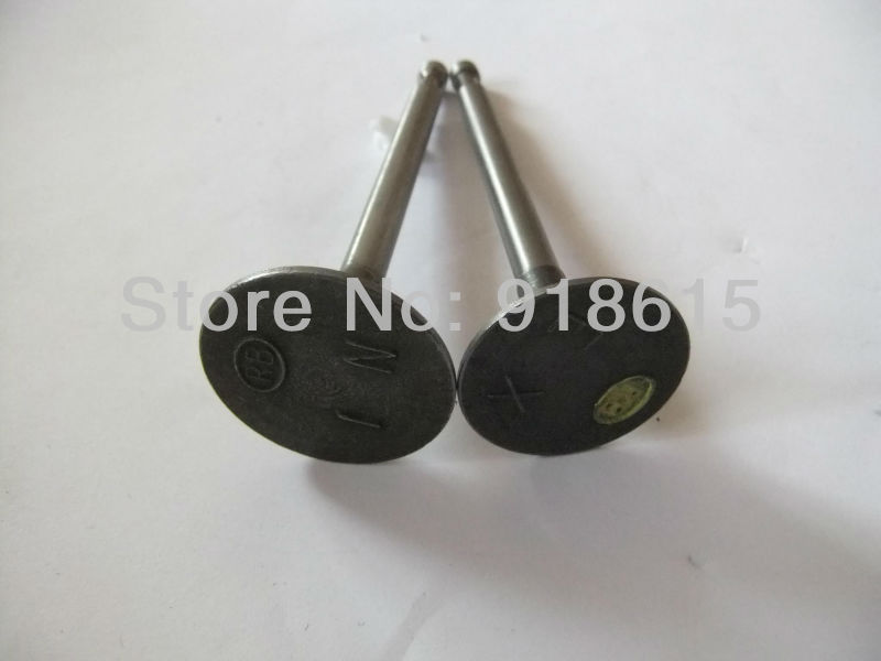 Robin EY28 EY28C EY28D EY28B RGX3500 RGX3510 7.5HP intake valve and exhaust valve gasoline engine parts replacement