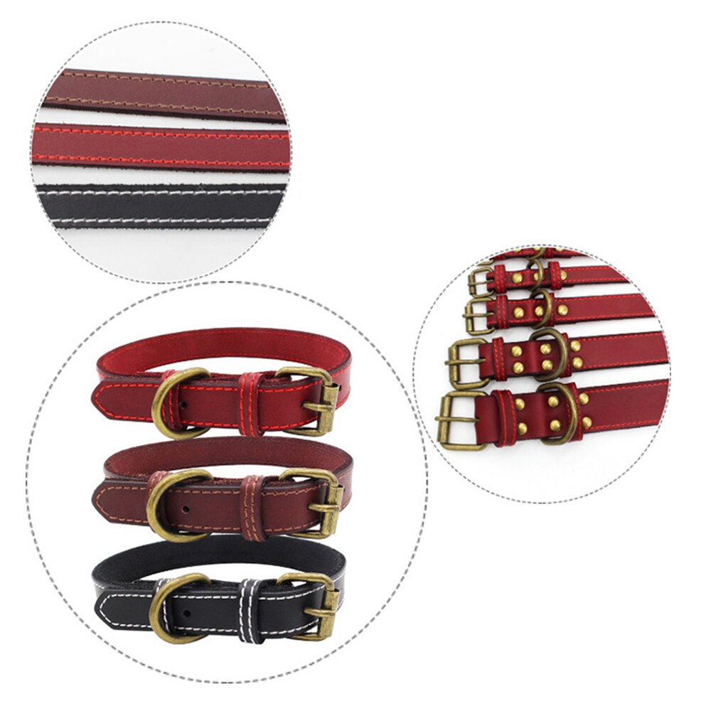 Collier en cuir véritable rembourré pour animal de compagnie, pour petits, moyens et grands chiens, Pitbull Labrador, ceinture ajustable avec boucle pour chiot