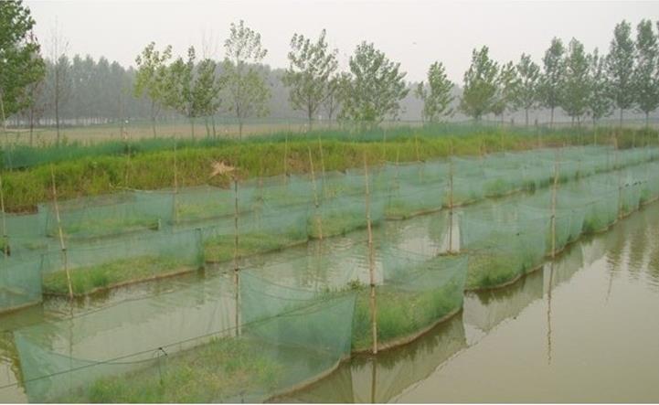1 pcs breeding net shrimp nets Aquaculture net Fishing nets Plastic Aquaculture cage