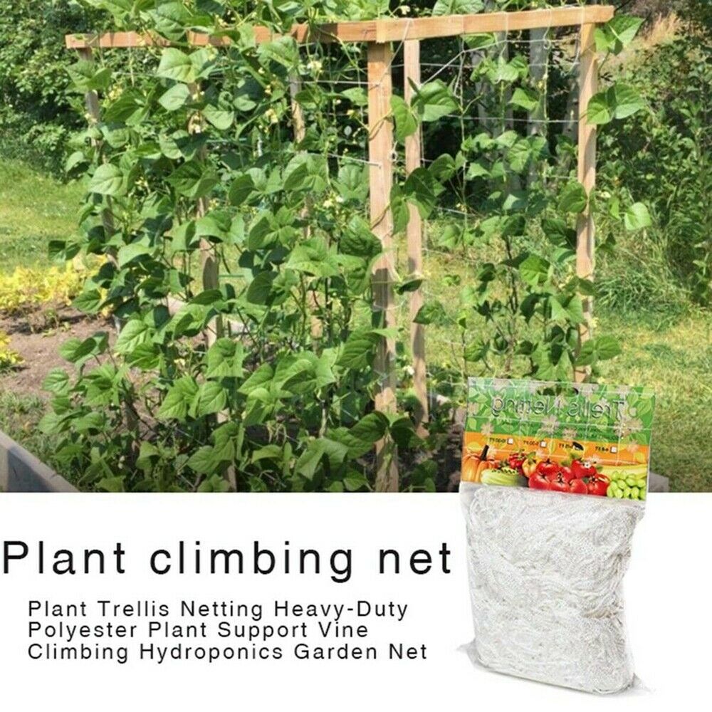 Garden Nylon Plant Grow Fence Net Trellis Netting Support Climbing Creeper Strong Support Easy to Work 1.67x5m PM0411