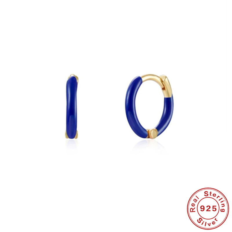 Roxi 925 Zilveren Vrouwen Ronde Oorbellen Kleurrijke Enamel Circle Huggie Ear Piercing Oorringen Sieraden Accessoires Pendientes: 3