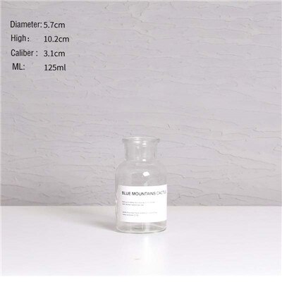 Europäischen Transparent Blume Vasen Pflanzen Halter Nordic Glas Vase Hause Dekoration Ornamente Hydrokultur Schreibtisch Blumentöpfe Handwerk: G
