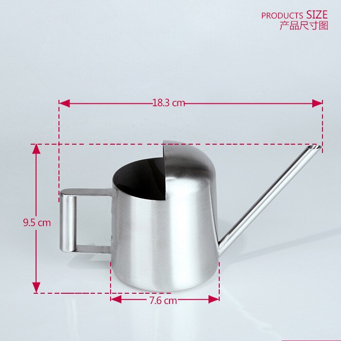 Bidon d'eau en acier inoxydable 300/500ml, arrosage en métal, Pot d'arrosage brossé pour plantation de jardin, outils de jardinage de fleurs