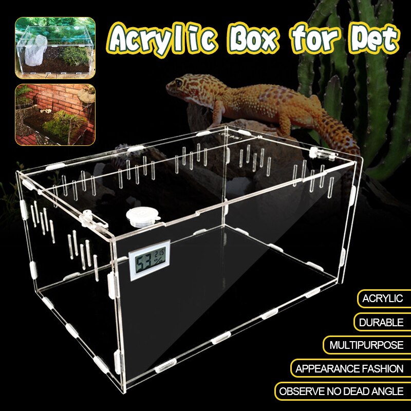 30*20*15cm Duurzaam Huisdier Doos Insect Cold Blooded Dieren Praktische Reptiel Huisdieren Thermometer Kat Dragers voor grote Katten