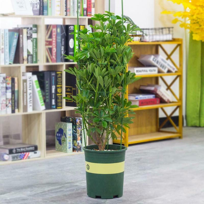 Holdbart klatreplante støttebur hage espalier blomster tomatstativ med 3 ringetone hagearbeid tomatbur