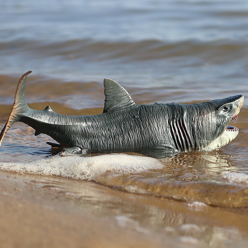 Simulation Hai Modell freundlicher Große Marine Ebene Spielzeug Realistische Biologische Megalodon Meer Quaddel freundlicher Pädagogisches Spielzeug