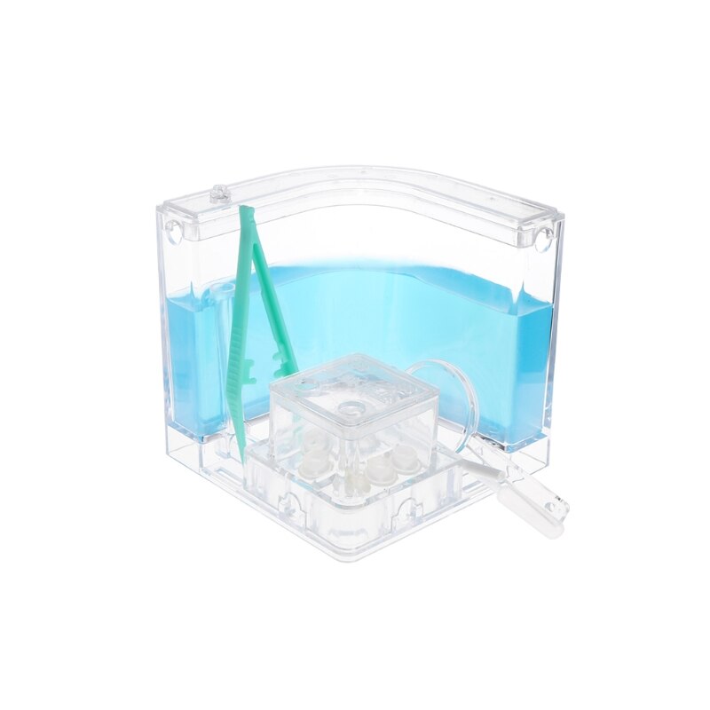 Ant Farm Gel Maze 3D Educational Nursery Live Feeding System Novelty Habitat: Blue