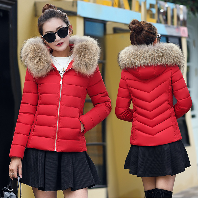 Abrigos de invierno de para mujer, chaquetas de algodón nuevas de plumas, abrigos de algodón de talla grande y ajustados con cuello de pelo corto para mujer: Rojo / L
