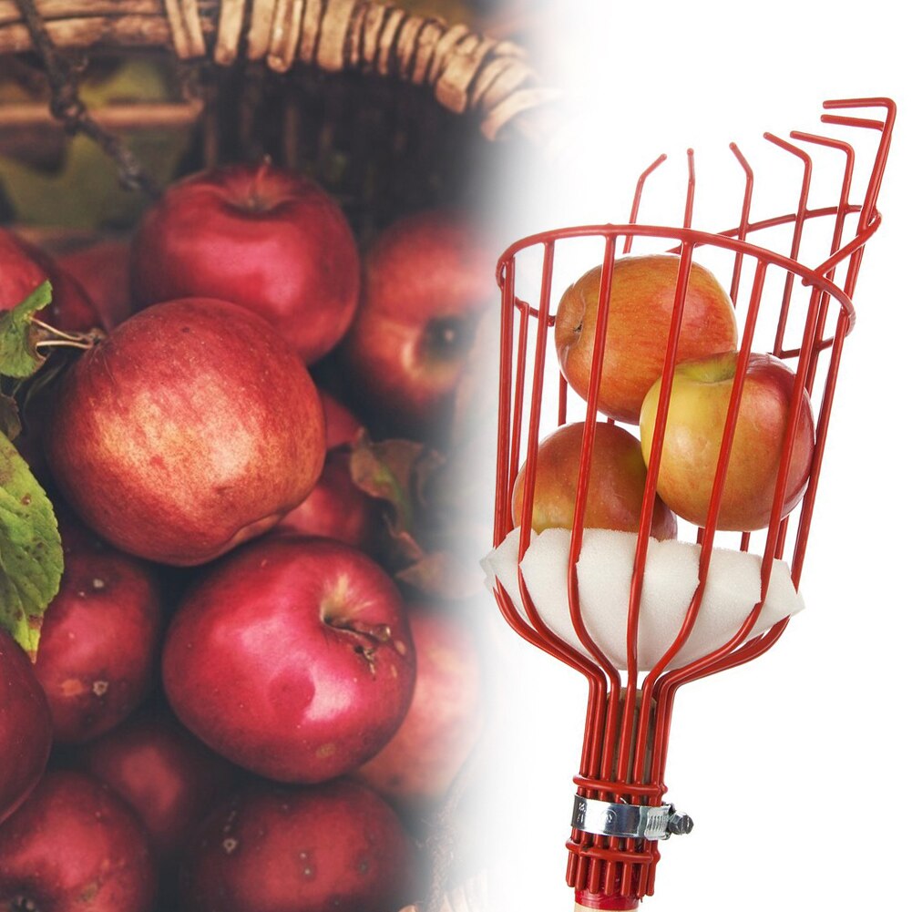 Herramienta de recolección de frutas de Metal para invernadero, recogedor de melocotones y manzanas de color naranja, cesta profunda de aluminio para exteriores, herramientas de jardín