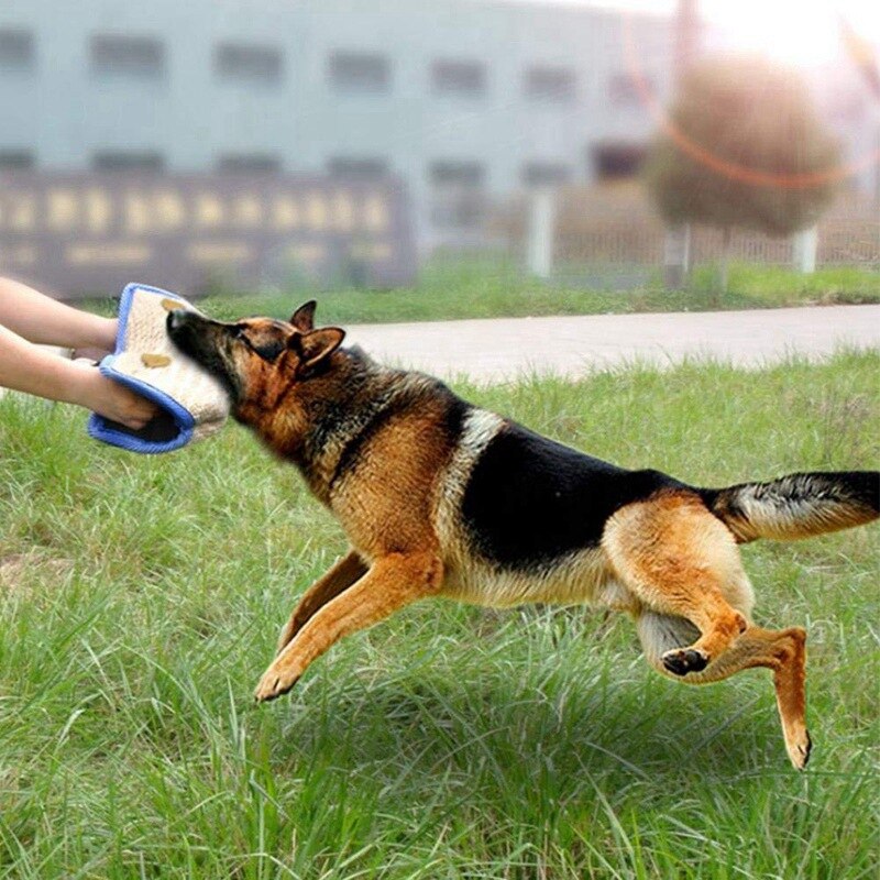 Dog Training Agility Equipment German Shepherd Dog Training Anti-tearing Bite Pillow Left And Right Arm Training Protector