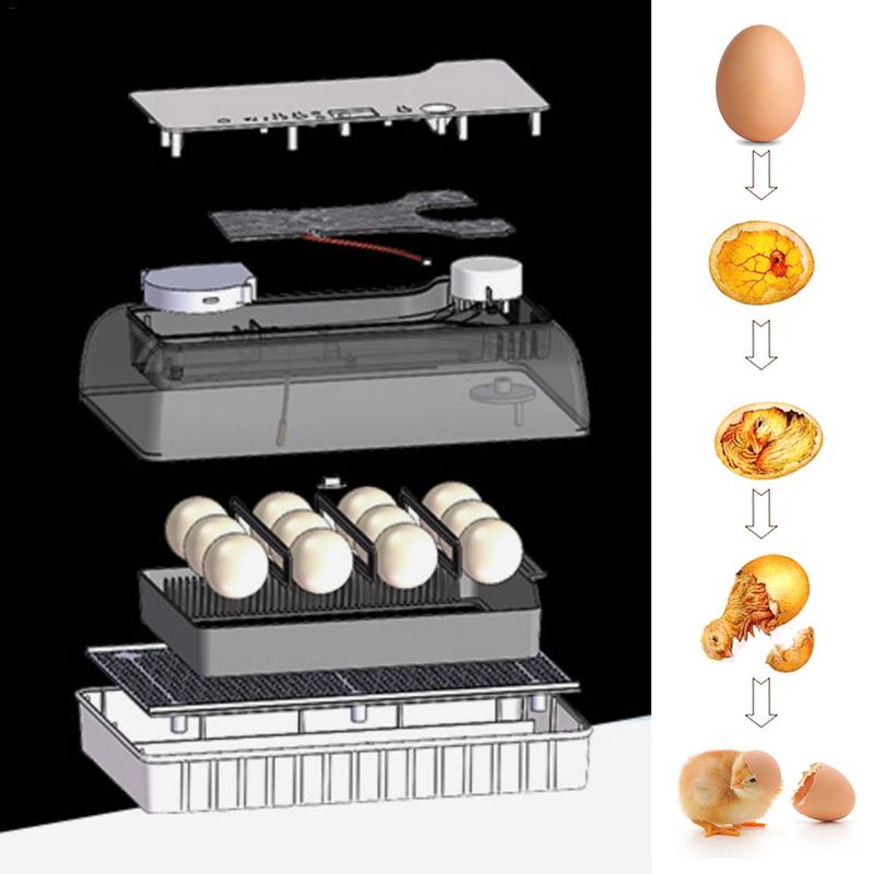 Automatic egg incubator automatic brooder Intelligent Digital Egg turning over incubators 12 eggs hatching For Chicken Poultry