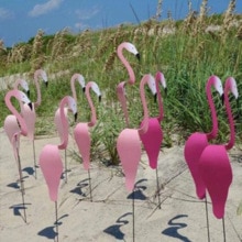 Lunefull fugl rosa flamingo hjem hage dekorasjon virvel helt nydelig unik dynamisk roterende fugl hvirvel fugle rekvisitter
