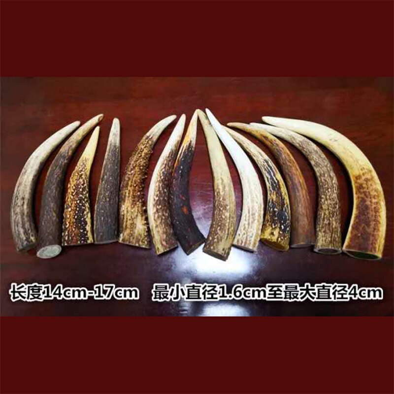 Red deer antler material antler point antler button deer horn section bar horn material knife handle material pendant angle mate