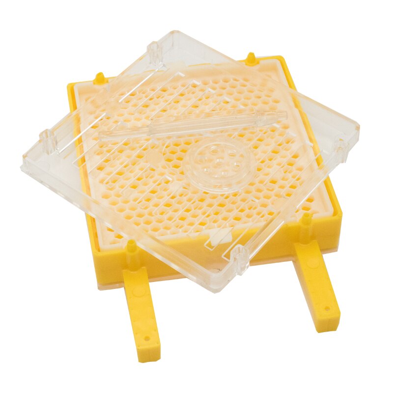 Jenter – Kit d'élevage de reine, système d'élevage de fausses abeilles, Cage mobile, outil pour apiculteur, fournitures