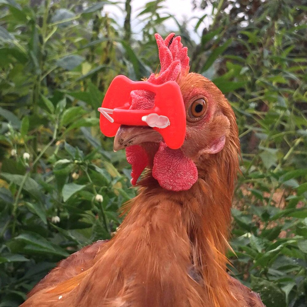 101 pièces/ensemble Pinless Yeux Anti-picage Poussin Masque Pour Les Yeux avec des Pinces pour Coq