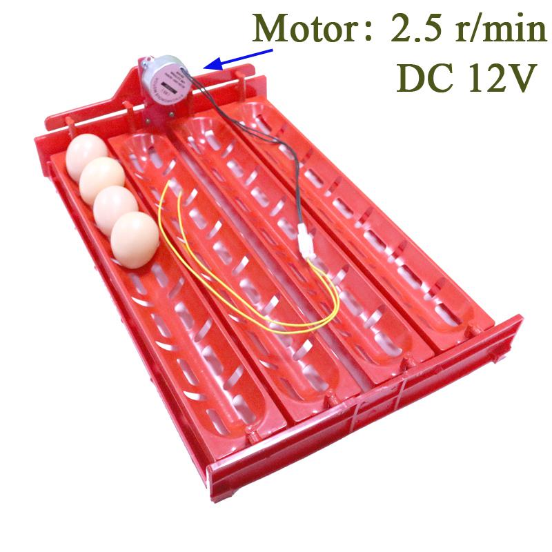Accesorios para incubadora de huevos, bandeja para colocar huevos, pato, Ganso, aves de corral, Motor de 110V/220V/DC12V, novedad, 32-40 juegos, 1 Juego: DC12V