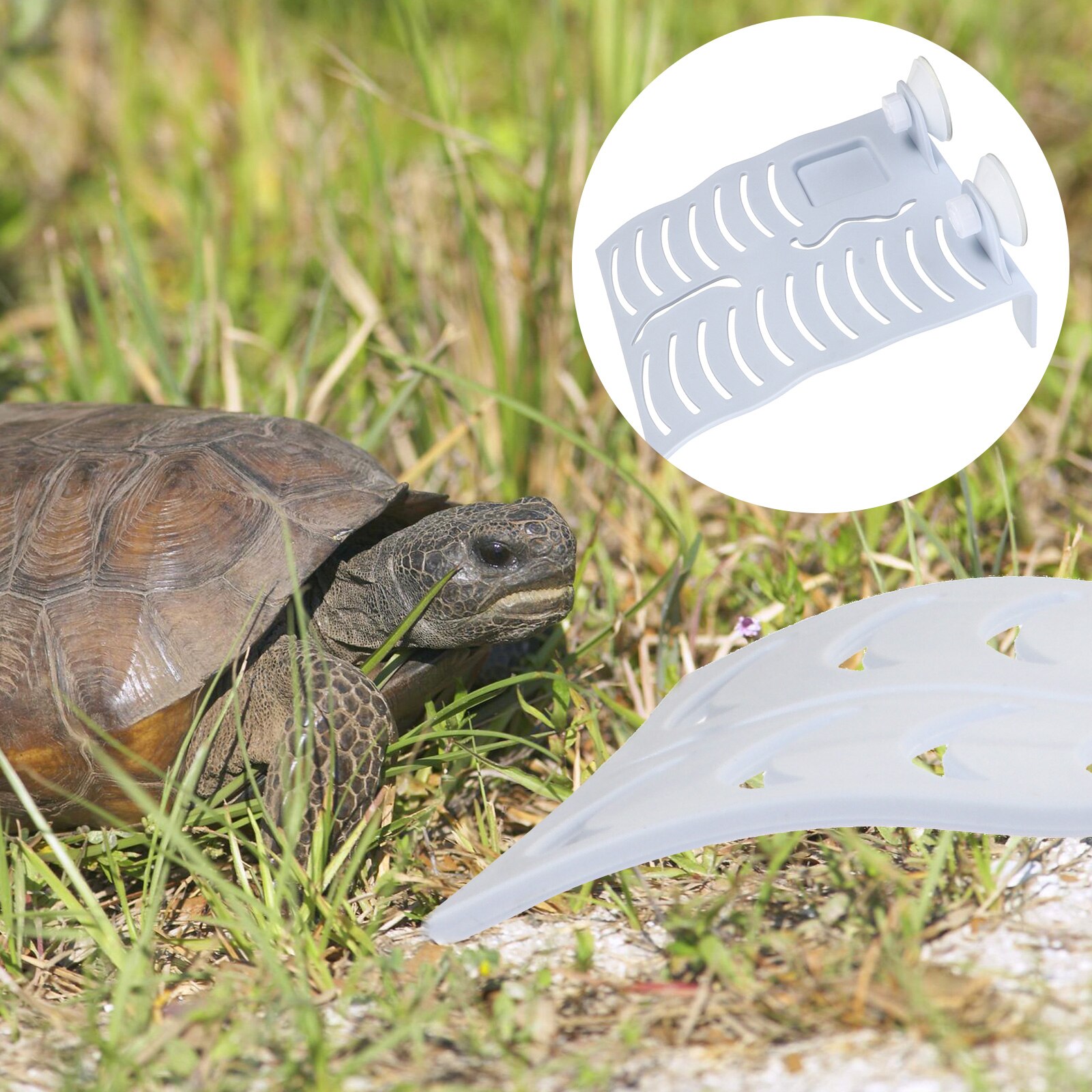 Aquatic Turtle Basking Platform Floating Turtle Dock with Feeding Dish Ramp