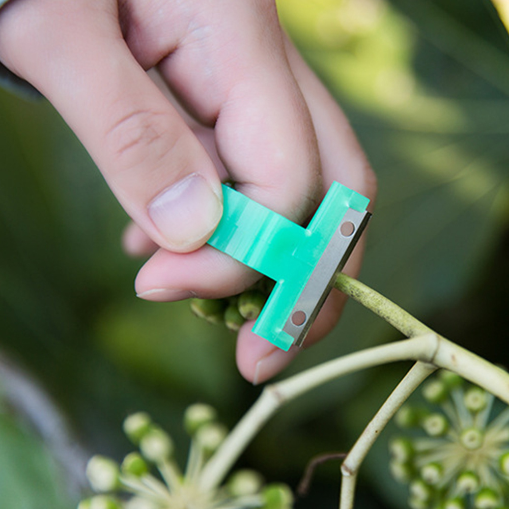 Garden Picking Tools Pruning Shears Tomato Cucumber Grape Fruit Garden Tools Blade Cutting Scissors Rings