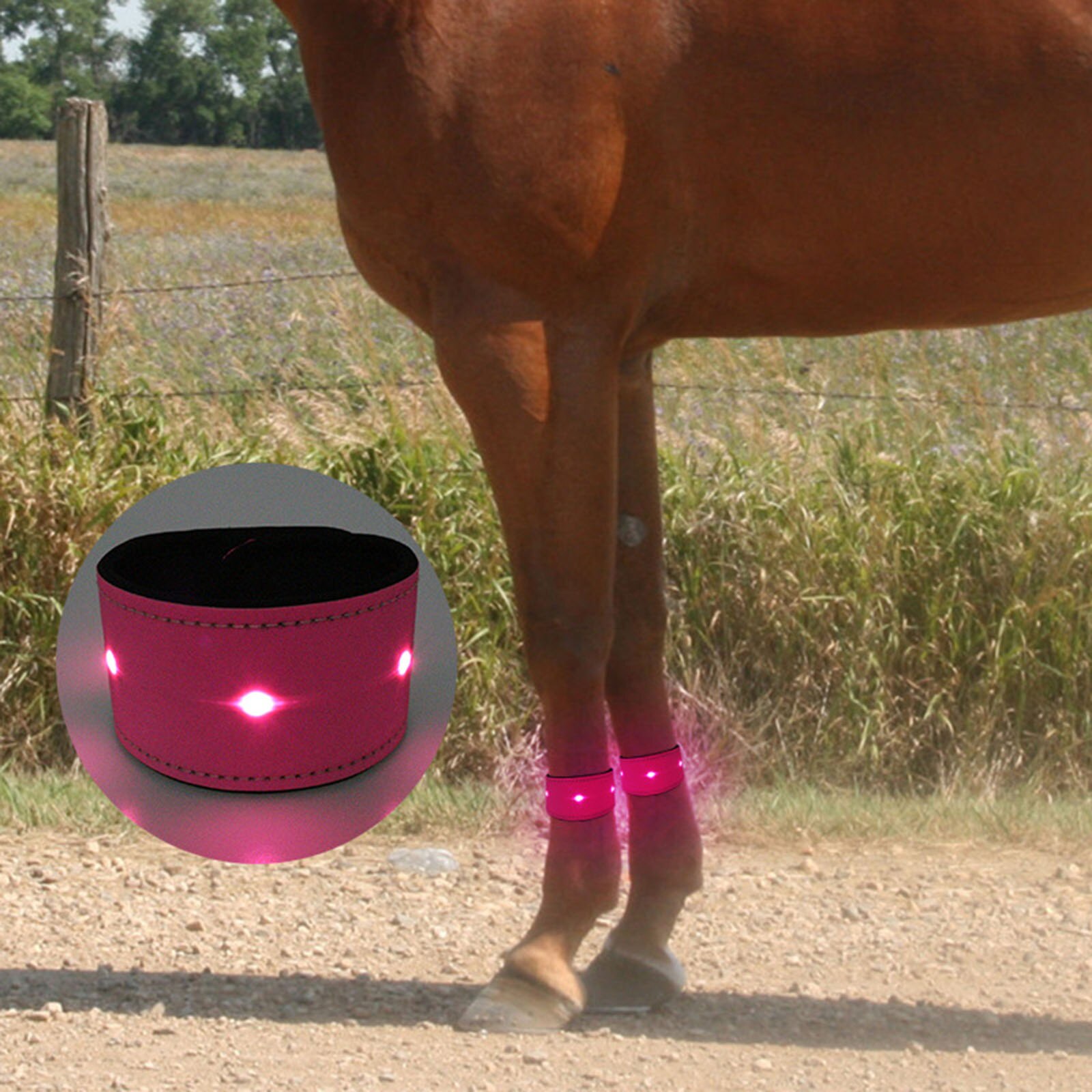 Cinture di avvertimento di sicurezza a LED per gambe di cavallo luminose a LED per cavalli cani gatti uomo donna