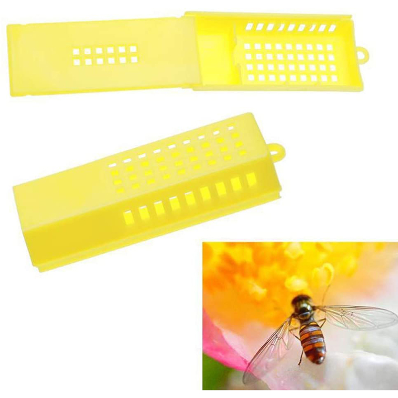 ! 100 Pcs Bee Tools Beekeeping Transport Cages Queen Bee Cages Bee Hive Yellow Bee Isolated Cage Beekeeping