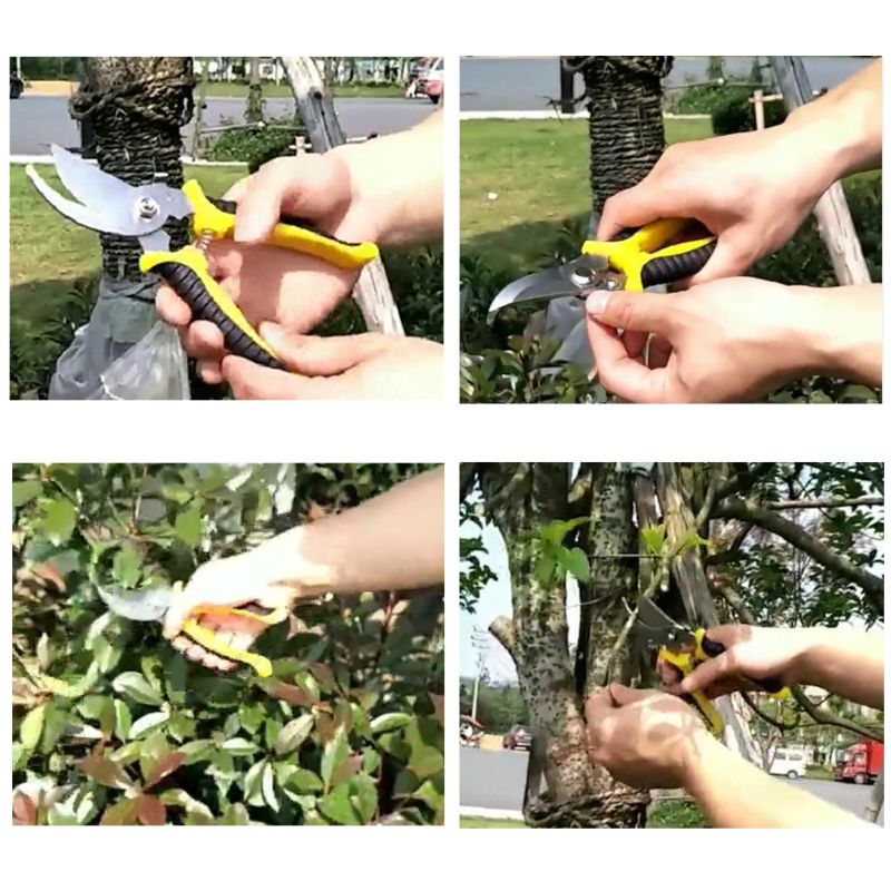 Ciseaux de jardinage durables d'acier inoxydable de ciseaux de taille de jardin de forme de croissant M0XD