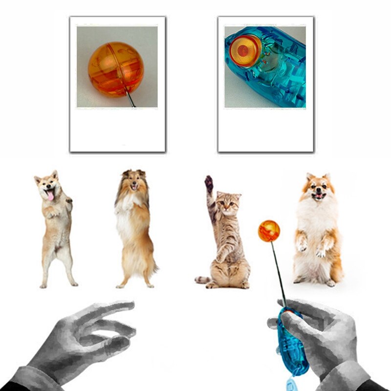 Novelty Stretchable Pet Training Clicker Dog Cat Agility Training Clickers Bird Whistle Commander Supplies Accessory