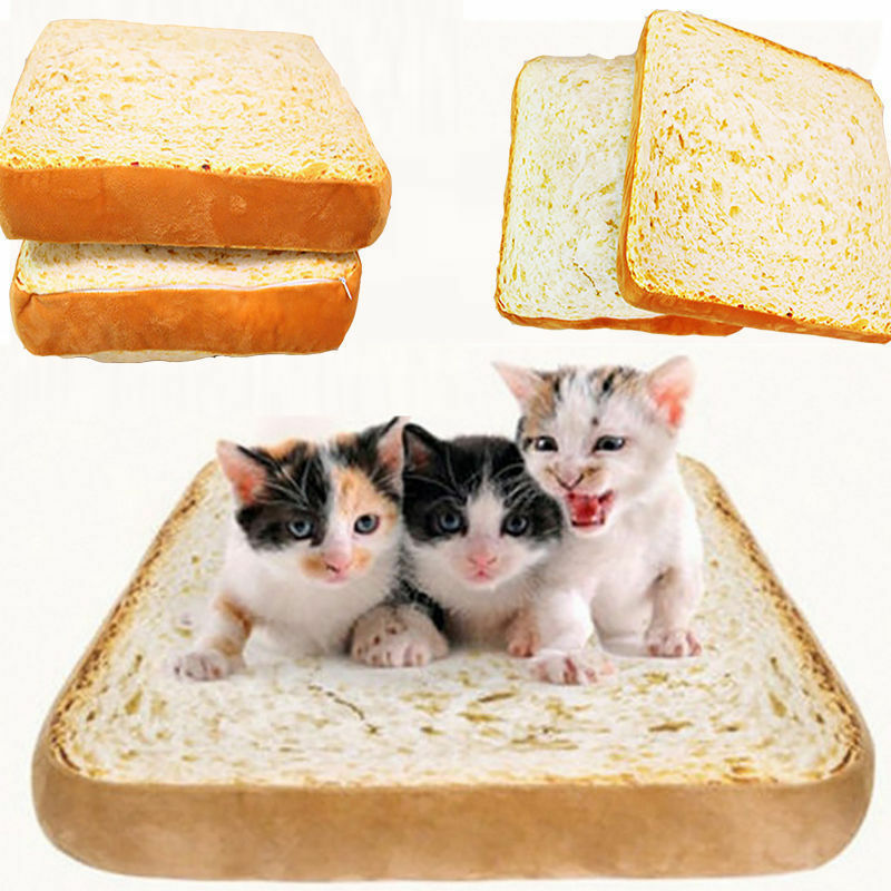 Toast brød katt pute hund matte kjæledyr senger rekvisita kittle myk pute plysj sete