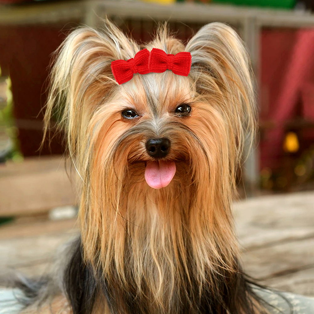 10/20/30pcs Hond Haar Strik Grooming Handgemaakte Puppy Haarelastiekjes Elastiekjes Hond Haar boog voor Kleine Hond Kat Haarbenodigdheden