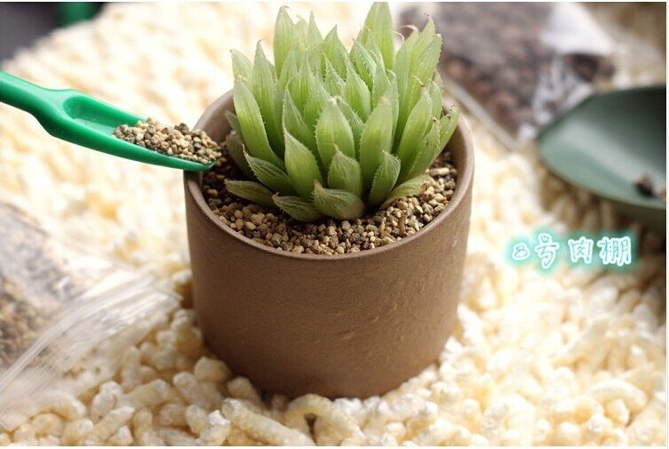 Two piece set Gardening tools seedling transplant family garden supplies The cultivation bed out tool Family bonsai