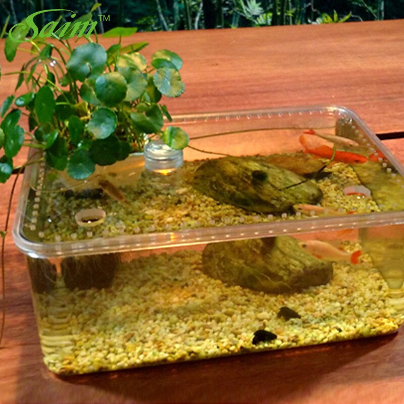 Saim Acrylic Fish Cylinder Desktop Fishes Bowl Fish Tank Plastic Landscaping Ecological Cylinder Fish Tank Ornamental JJ514