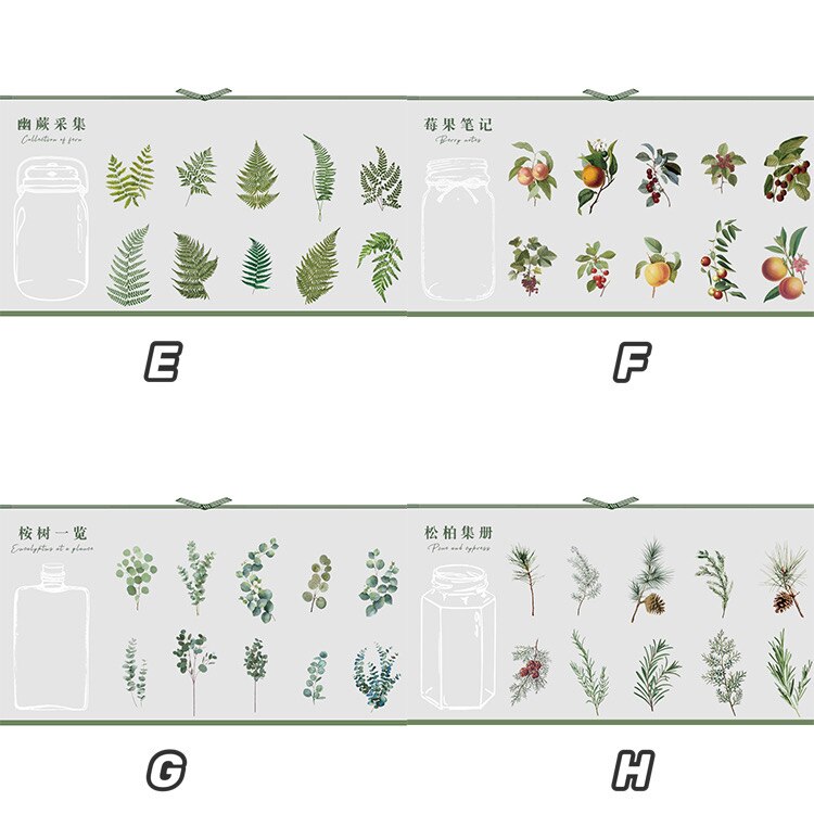 Mohamm 11 stk institut for botanik serie klistermærker dekoration scrapbooking papir stationær skoleartikler