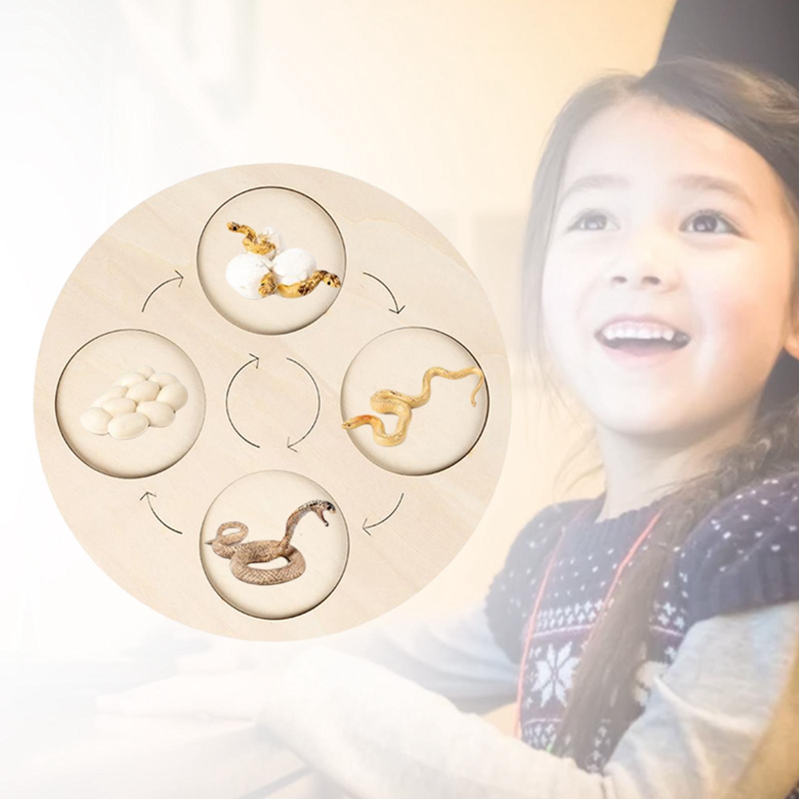 Montessori Life Growth Cycle Board Puzzle do zabawy dla dzieci zwierzęta wczesna edukacja prezenty zabawka na prezenty przedszkole 3 4 5 6 lat dzieci: Snake