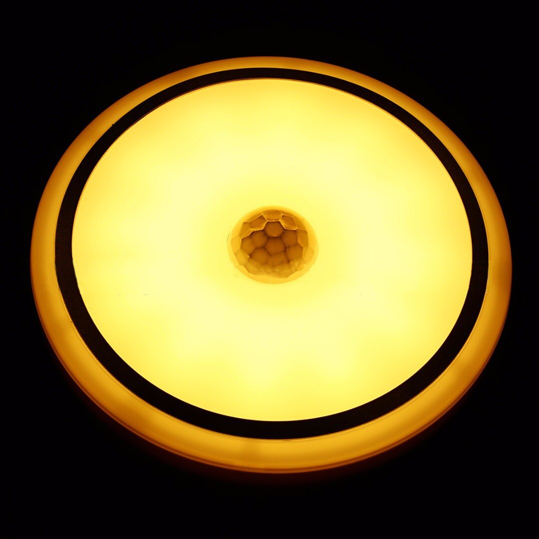12W LED PIR Motion Sensor Infrared Ceiling Lamp Down Light Flush Mounted Fixture: Warm white