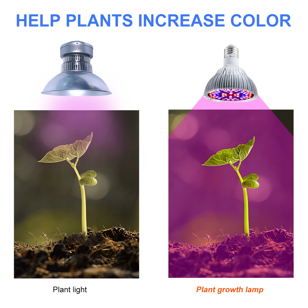 220V LED élèvent l'ampoule spectre complet plante lumière E27 Phyto lampe E14 Fitolamp pour serre hydroponique fleurs semis Phytolamp
