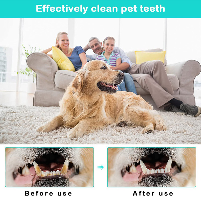 Brosse à dents pour animaux de compagnie, nettoyage des dents Super doux pour chien, soins de la mauvaise haleine, outil de brosse à dents en Silicone non toxique, fournitures de nettoyage pour chien et chat