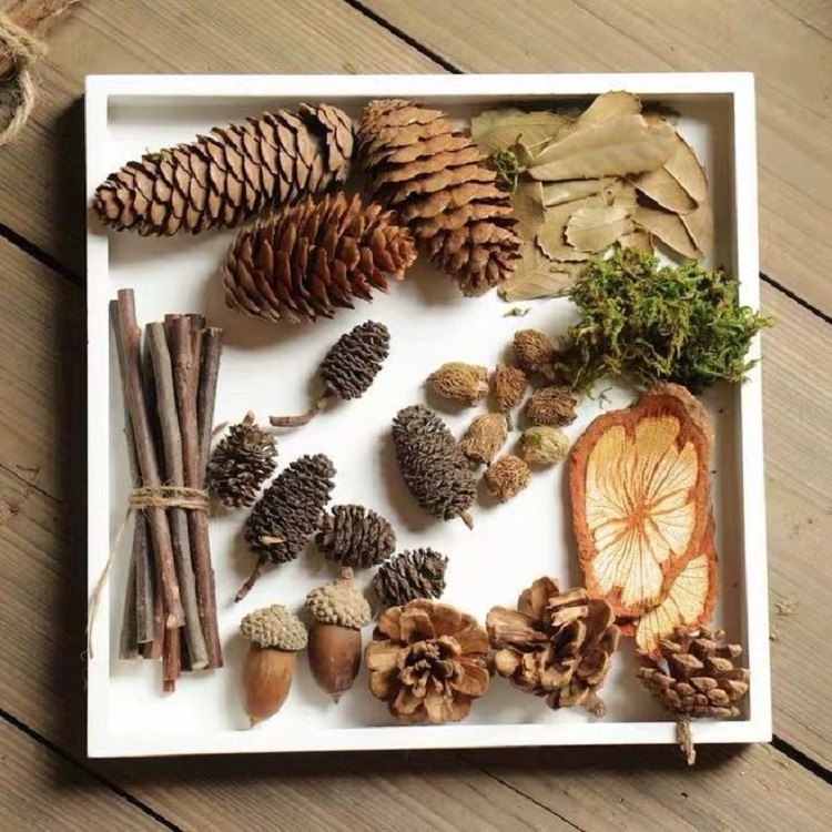 Photography photo props decoration diy retro forest decoration set cosmetic decorations with background