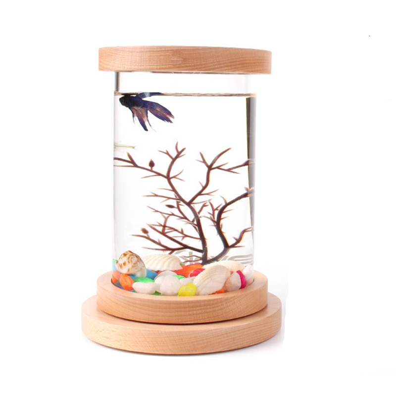 Mini Desktop Ecological Bottle Fish Tank Bettas Cylinder