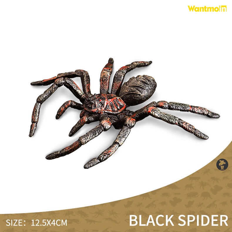 World-famous Dangerous Poisonous Wild Animal with Honey badger spider mosquito monitor lizard scorpion centipede snake Halloween: Big black spider