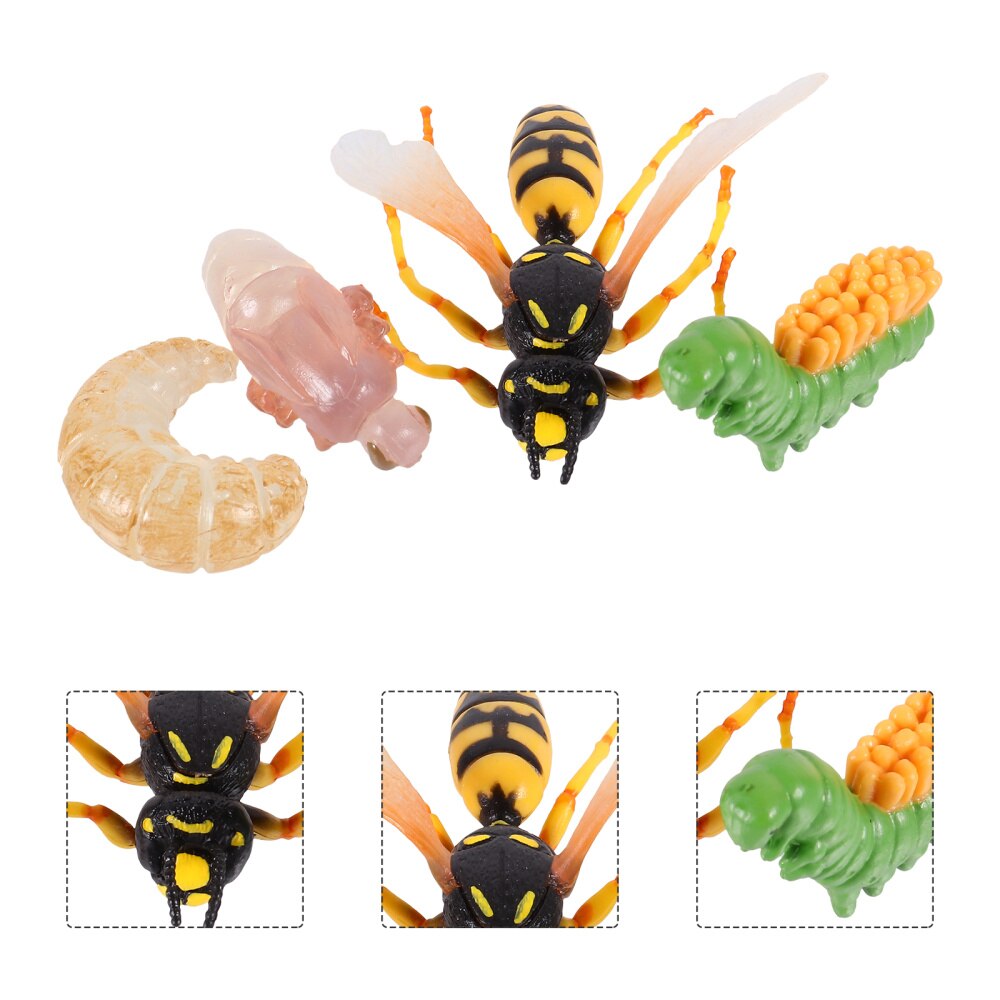 1 Set/4Pcs Simulatie Insect Evolution Model Wesp Groei Cyclus