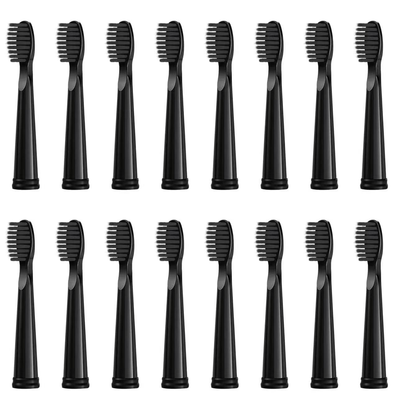 Têtes de rechange pour brosse à dents électrique, compatibles avec SEAGO SG910/507/958/515/949/575/551,4/8/16 pièces: Black