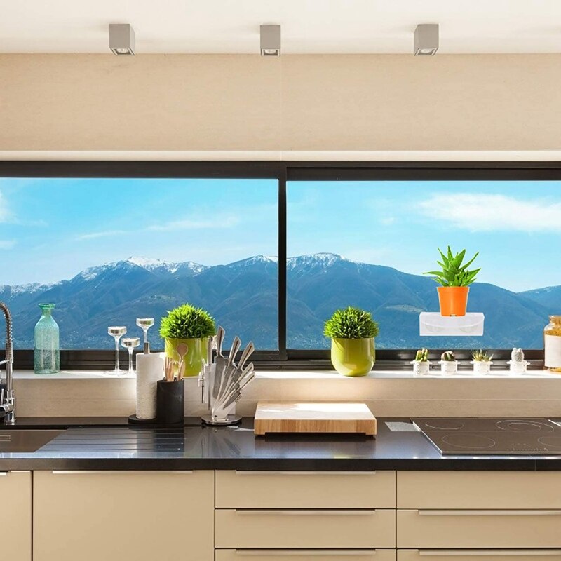 4 Pcak Muurbeugel Zuignap Glas Venster Frame Voor Indoor Plant Tuin Acryl Venster Beugel