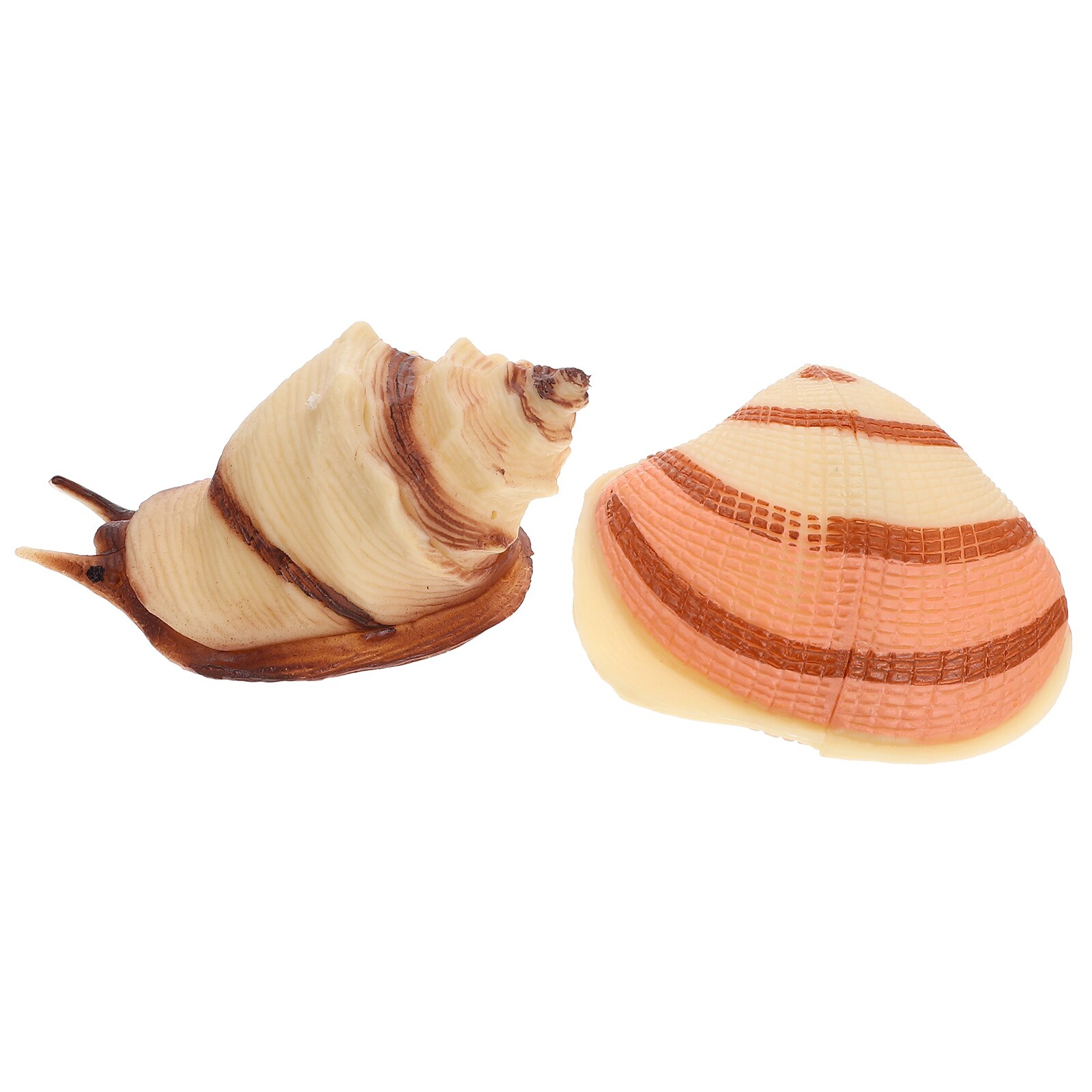 2Pcs Simulated Sea Life Model Vivid Ocean Animal Figurines Realistic Conch Shell Model