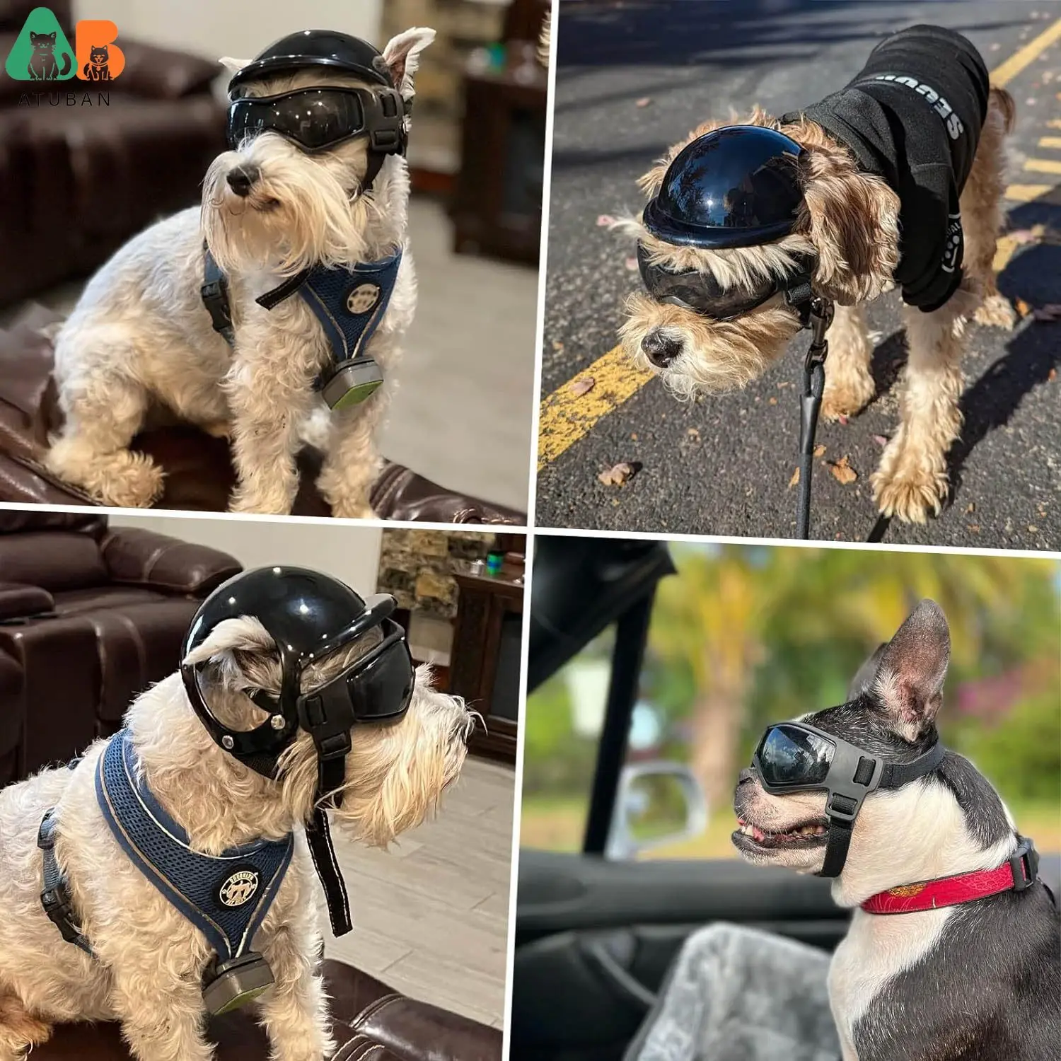 ATUBAN Casco para Perros y Gafas para Perros Pequeños-Casco para Casco de Motocicleta para Mascotas con Agujeros para las Orejas Correas Ajustables para Puppy Montar