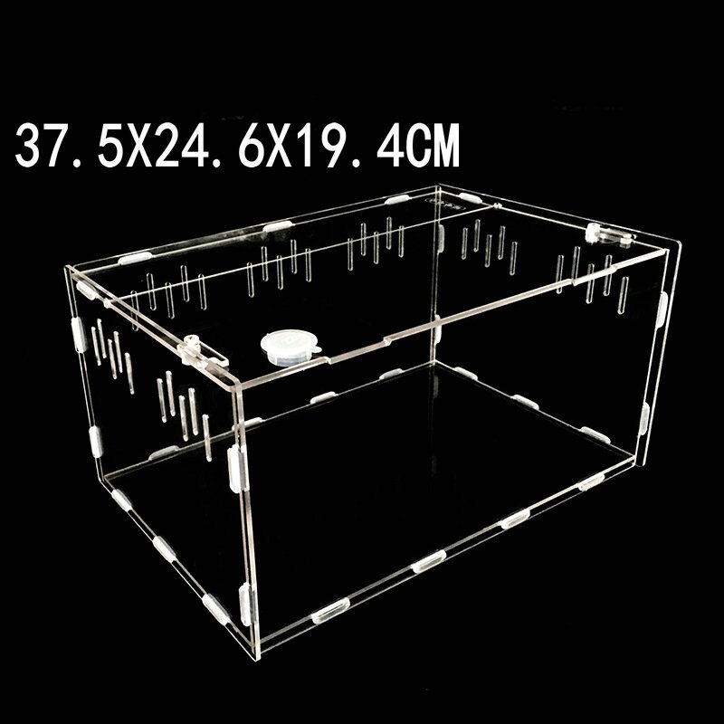 Transparent Acrylic Reptile Box for Spiders Tortoi... – Grandado