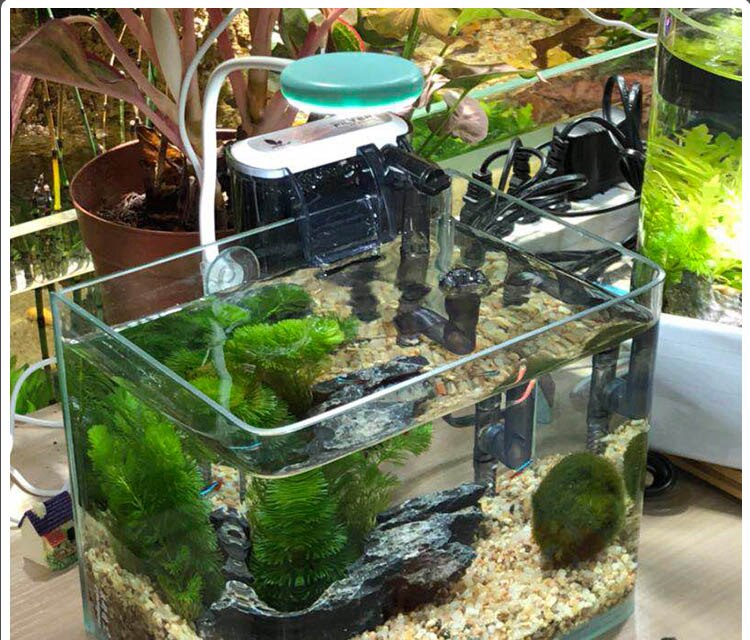 Mini nano led-lamp aquarium vis tank water planten groeien 6500k 3w usb opladen 360 graden hoek verstelbare pc computer opladen stroom