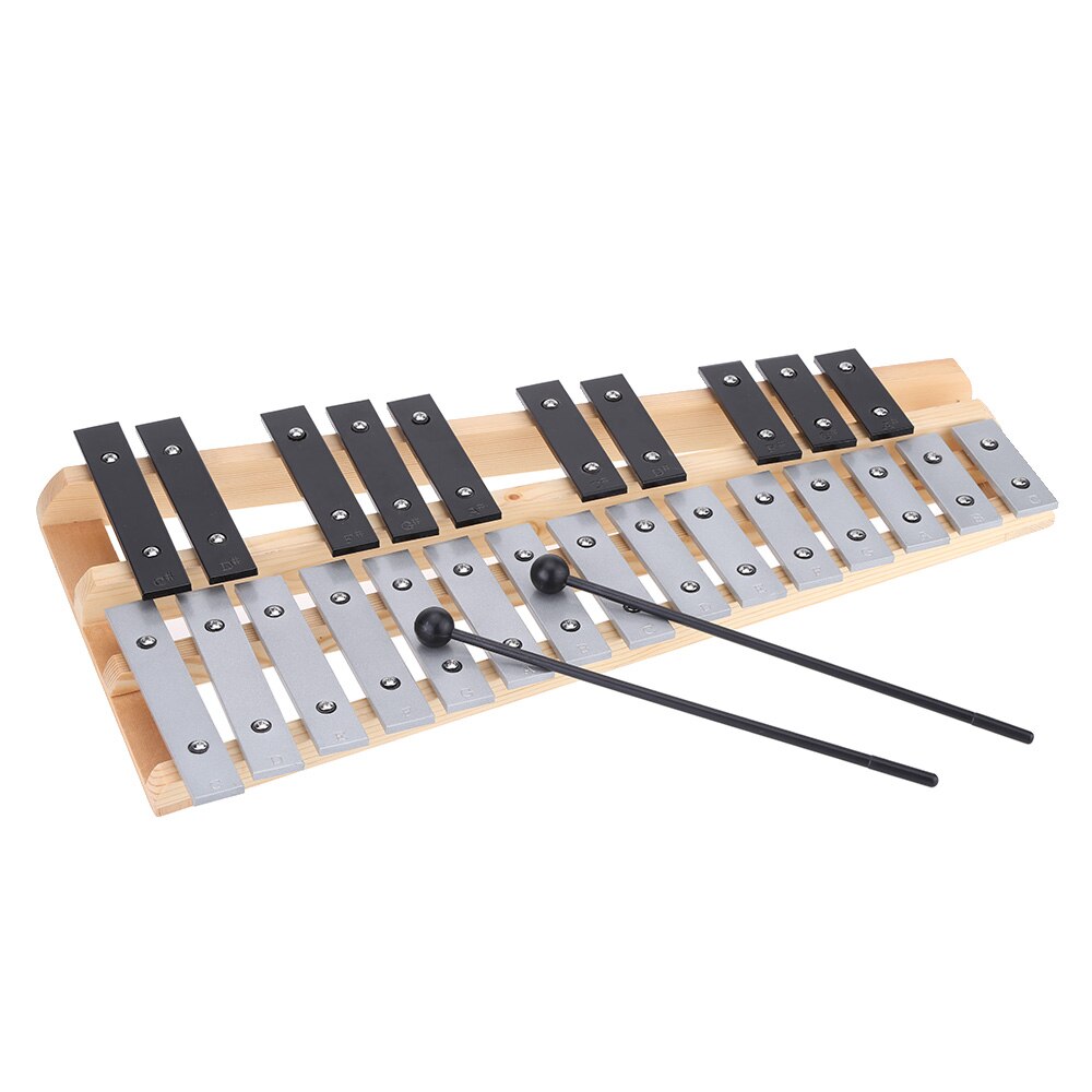25 Note Glockenspiel Xylophone Educational Percussion Musical Instrument with Carrying Bag: Default Title