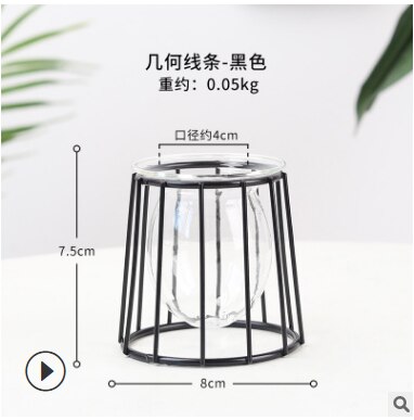 Soportes de Metal para plantas de aire, contenedores de arte del hierro de estilo moderno para cultivo de flores y agua: E