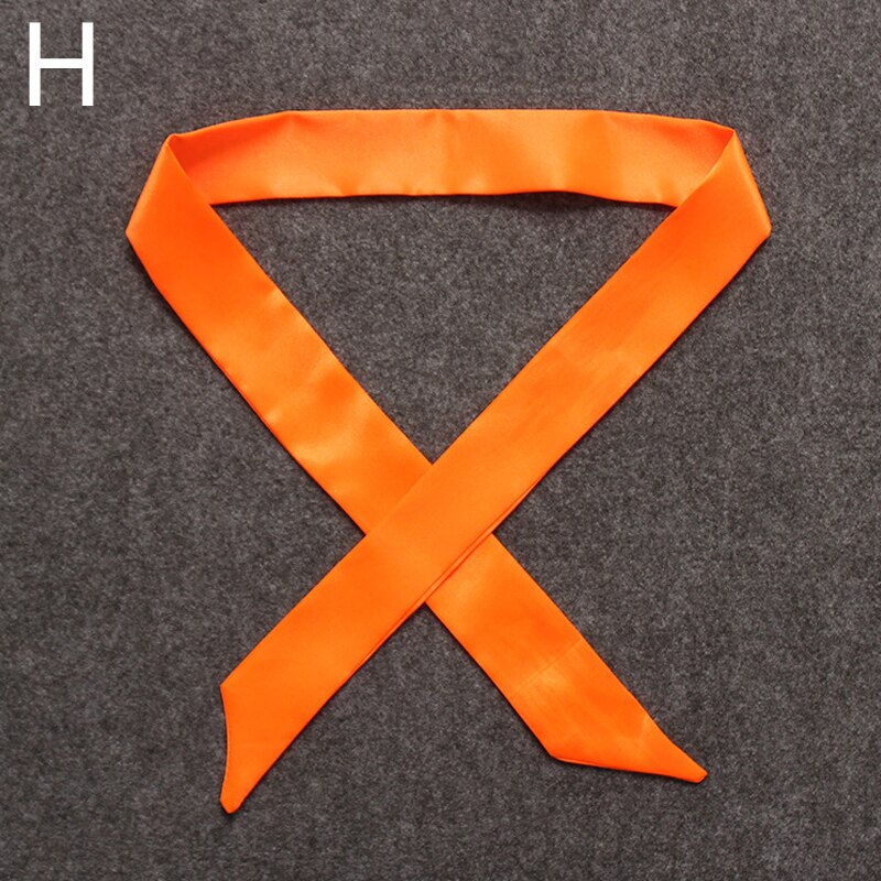 Twill Emulation Silk Solid Bag Scarf Women Small Scarf Ribbon Handbag Hair Long Shawl Bandana Luxury Head Scarf: H
