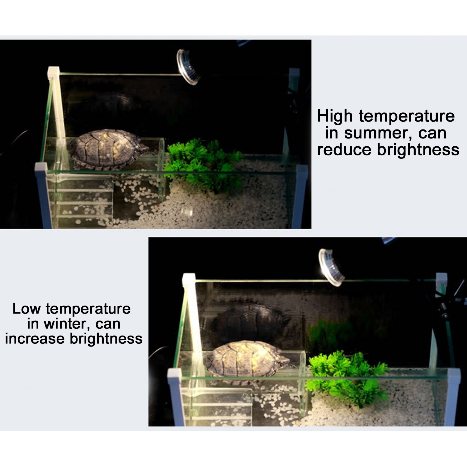 impostato di lampade per rettili lampada UVB 3.0 con lampadina a clip portalampada termometro igrometro tartaruga tartaruga lampada crogiolarsi kit lampada di calore